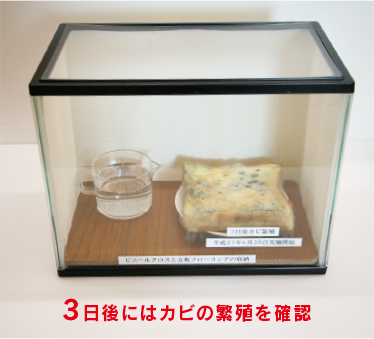 たった3日間でこの結果　| 平原ホームは桐を使った収納を造作しています